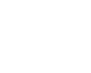 Dexter Axles